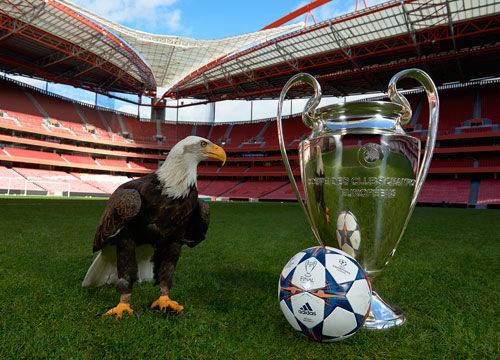 苗原：深圳青年人在谈云南玉昆外援恩里克、内内，球队想冲超